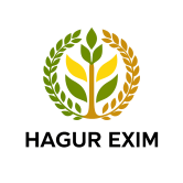 ChatGPT-Image-Oct-28-2025-11_50_44-AM